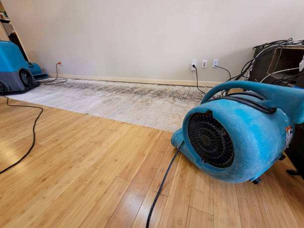 Professional Water Damage Repair technician working in Albion, IL